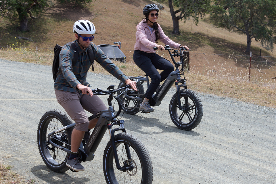 Picture of A Guide to E-Bike Safety: Tips, Gear, and Best Practices