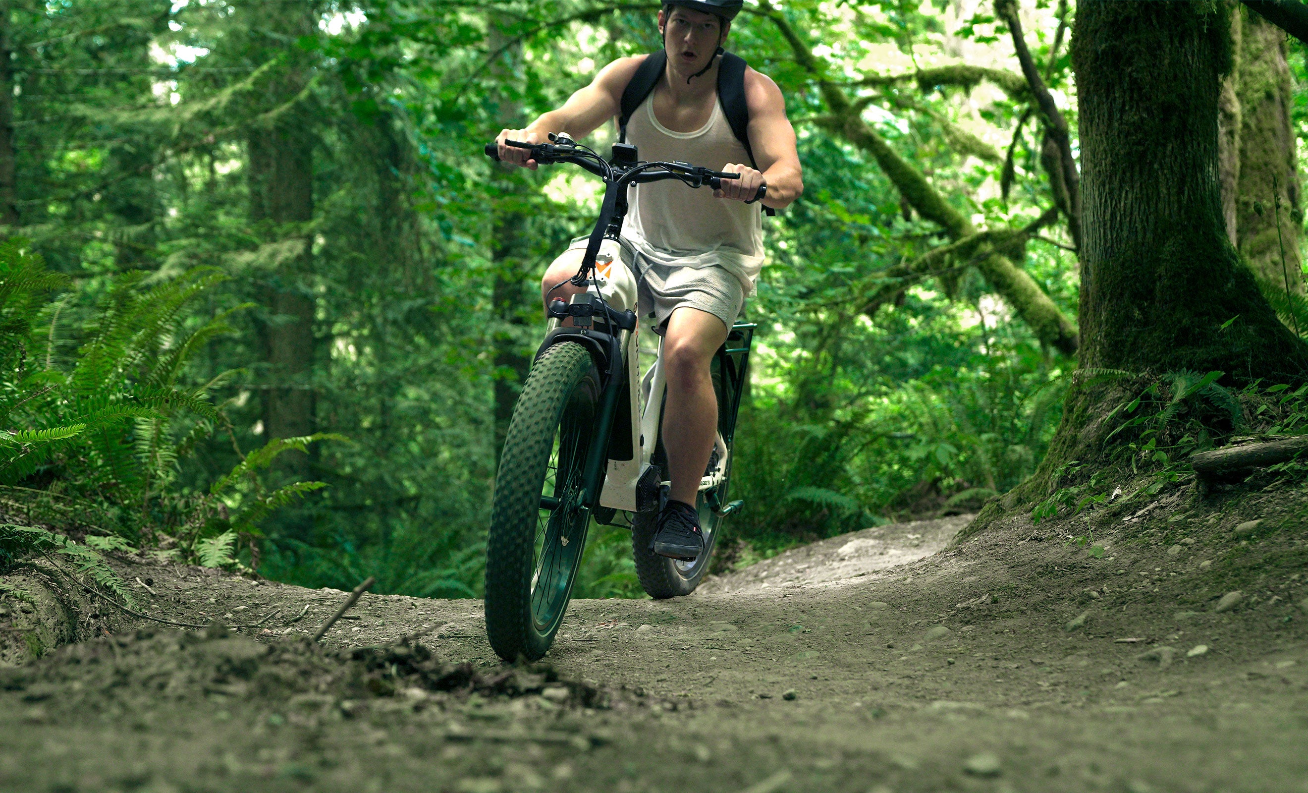 All You Need to Know About Aluminum Alloy Electric Bikes