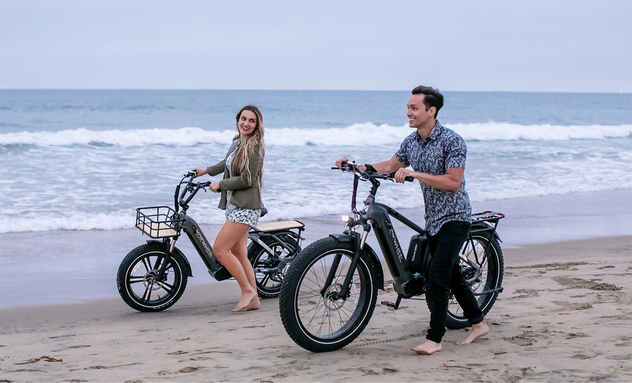 Mokwheel Long Range Electric Bikes