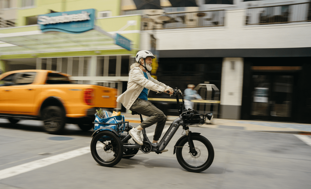 Mokwheel-ebike for seniors