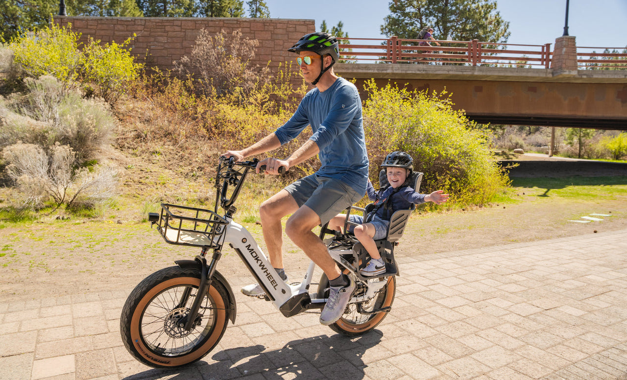 Family Electric Bike