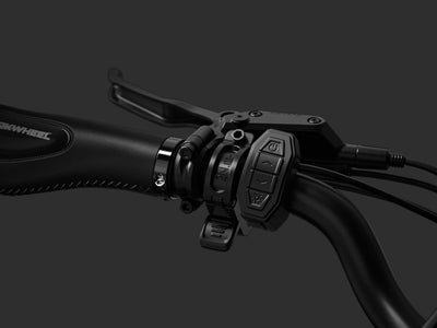 Pedal Assist + Throttle