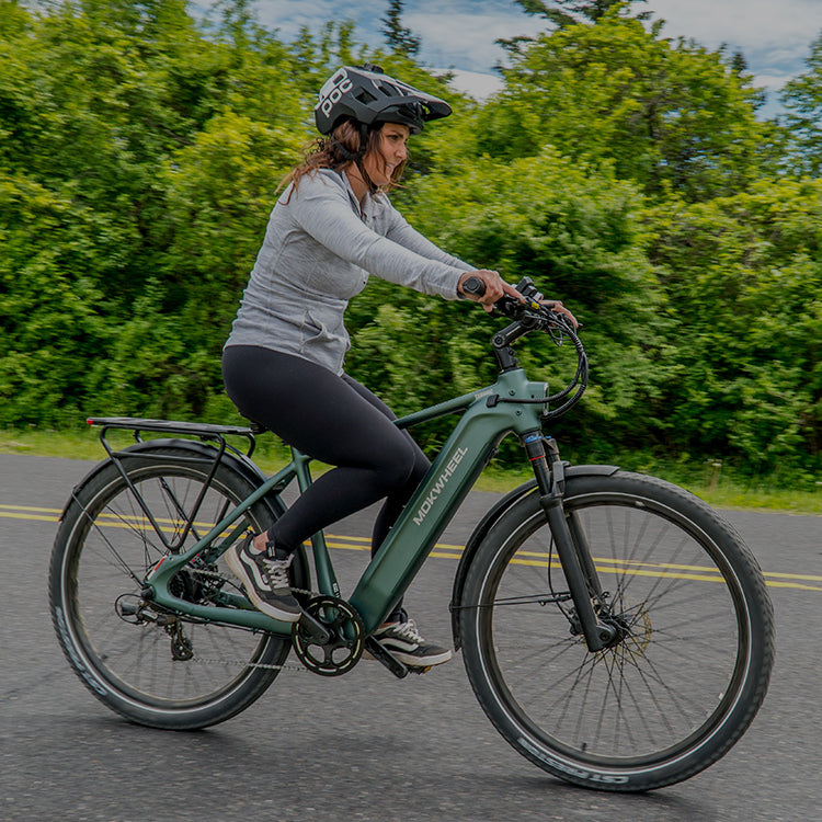 29 inch electric bike