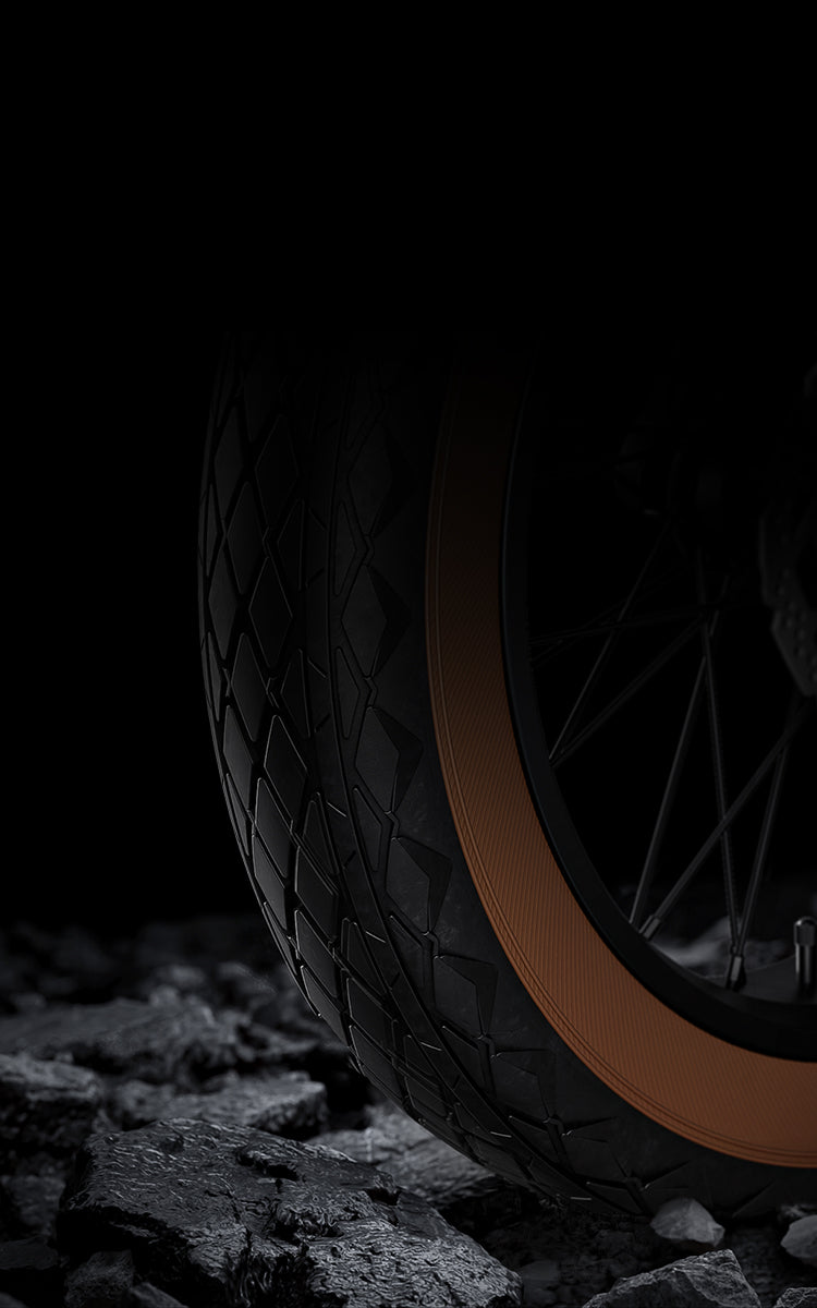 Mokwheel 20-inch ebike with widened, thickened tires for stable, grippy rides on sand, snow, and rocky terrain