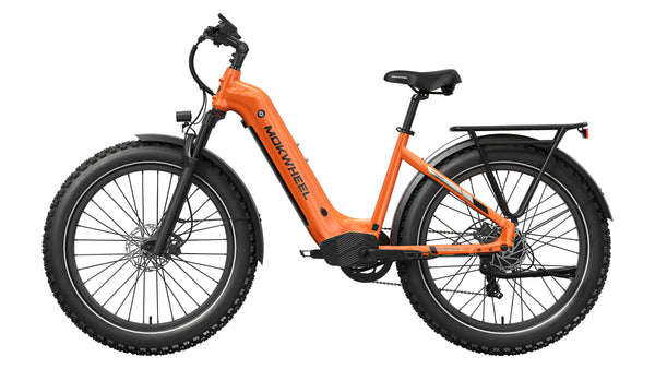 Basalt ST EbikeStandard / Orange