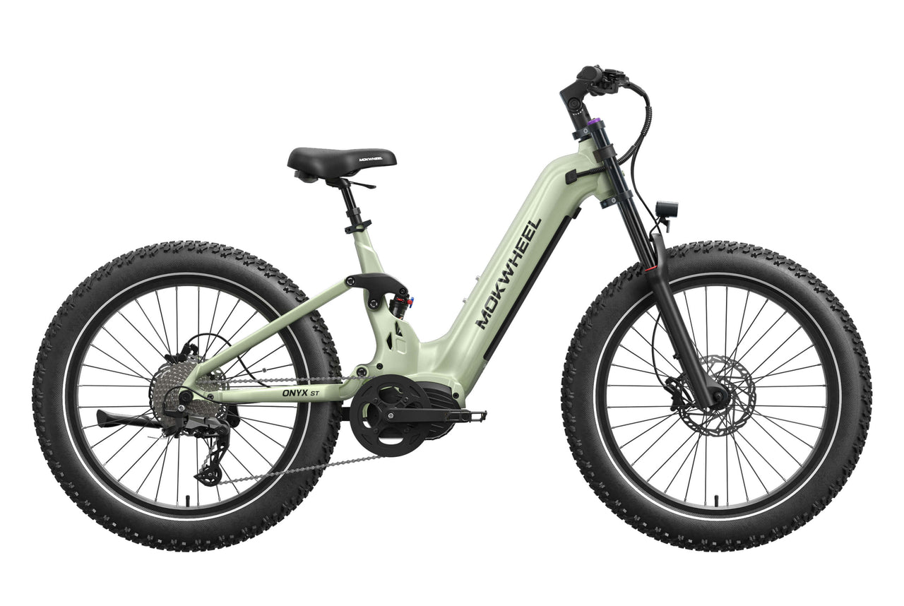Onyx ST Ebike