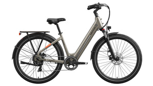 Asphalt ST Ebike