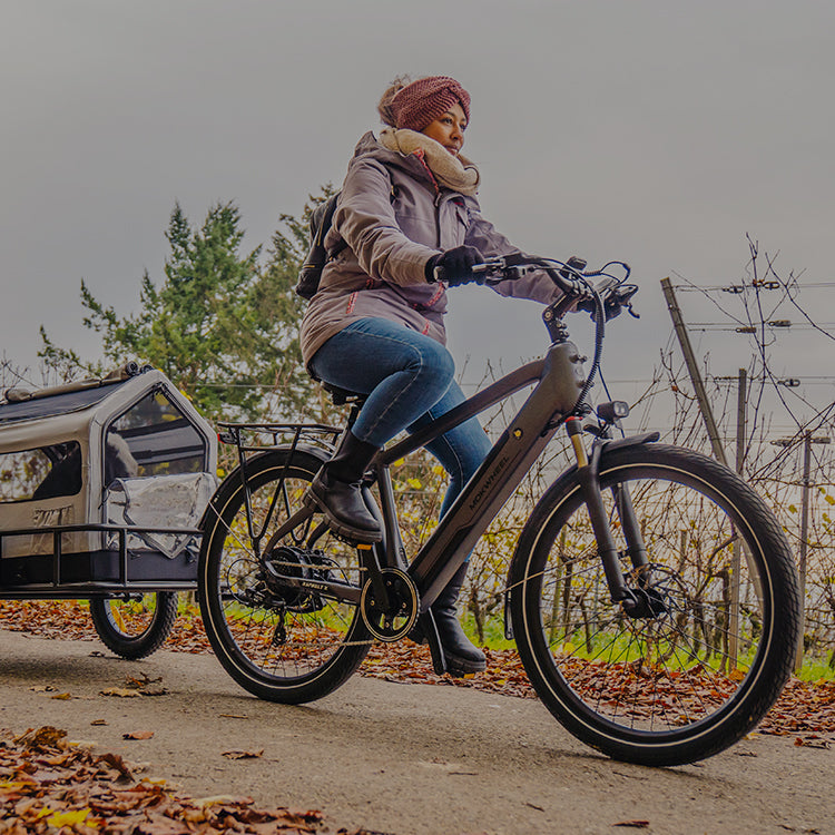 Mokwheel Ebikes