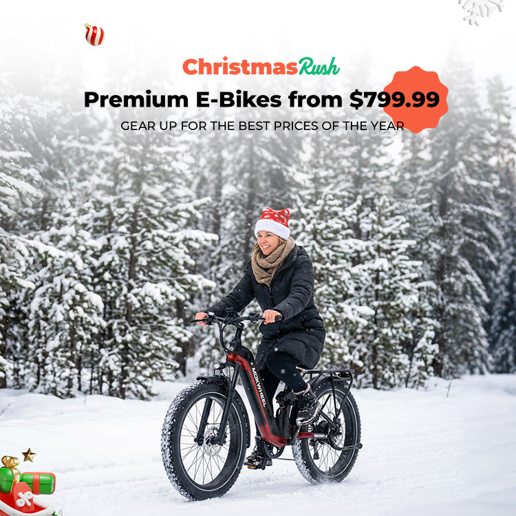 Affordable Electric Bikes