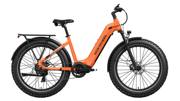 Basalt ST EbikeStandard / Orange