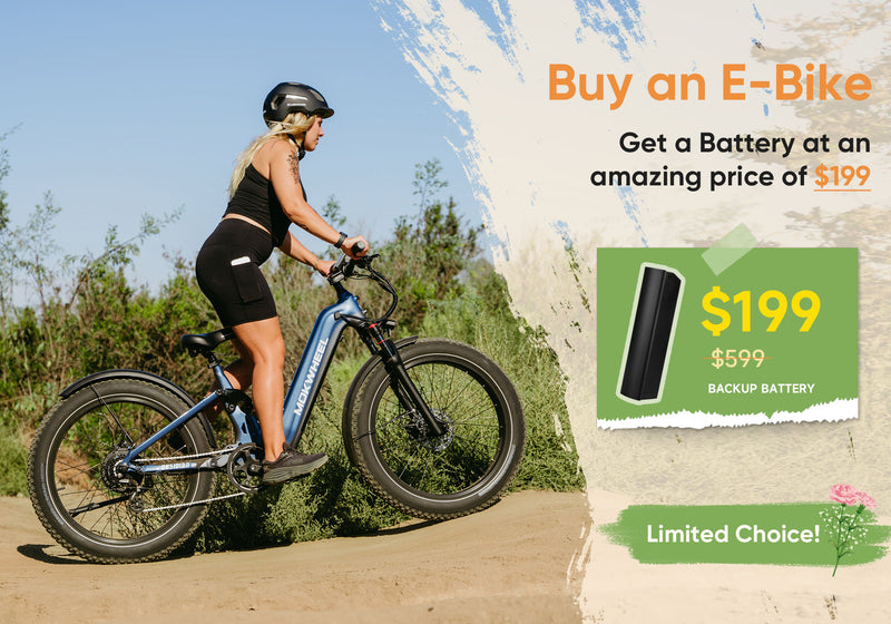 Mokwheel Ebikes