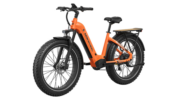 Basalt ST EbikeStandard / Orange