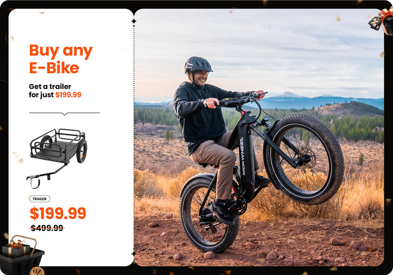 Deal 5: Black Friday Trailer Sale