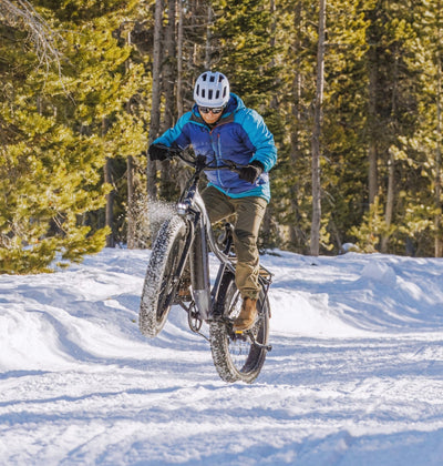 Mokwheel Ebikes