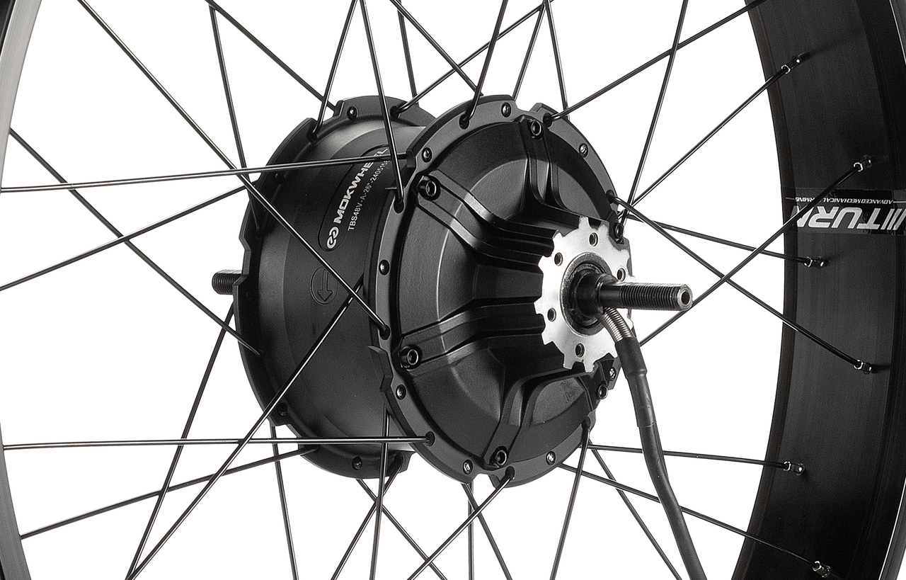 Mokwheel - best electric bike for adults