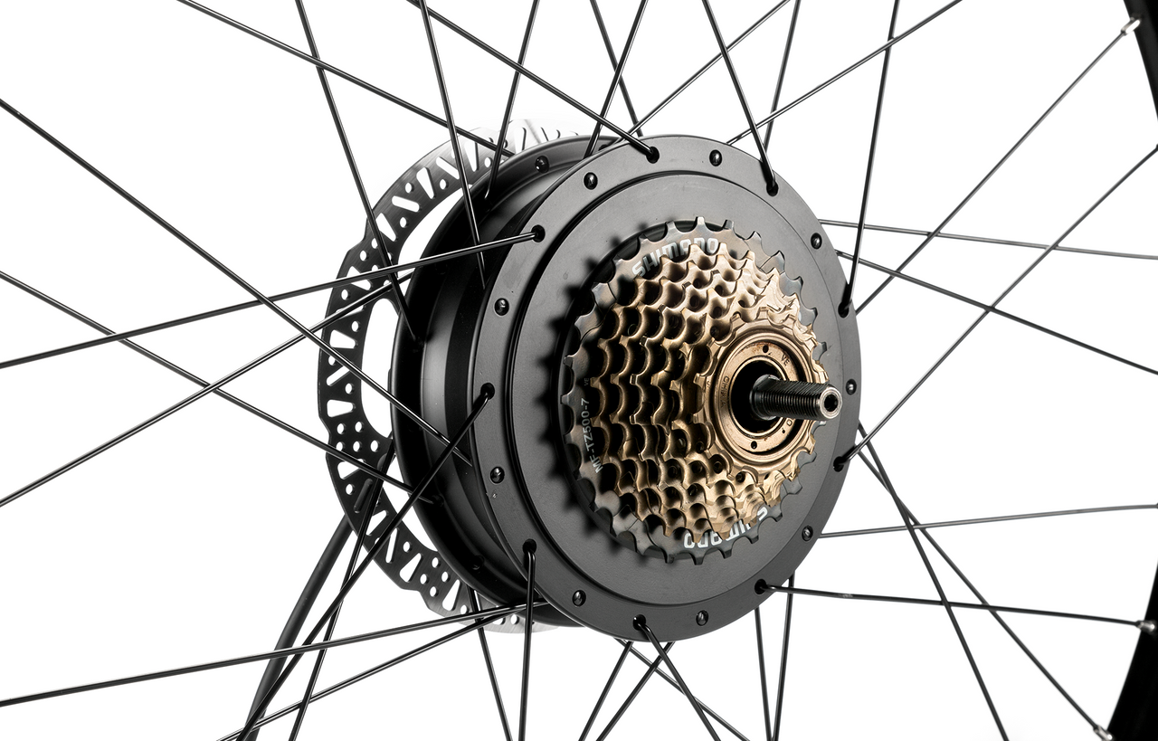 Mokwheel - best electric bike for adults
