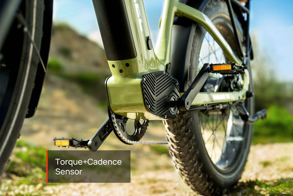Dual torque + cadence sensor system on Mokwheel Basalt ST 2.0 e-bike drivetrain