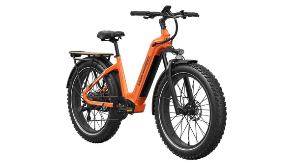 Basalt ST EbikeStandard / Orange