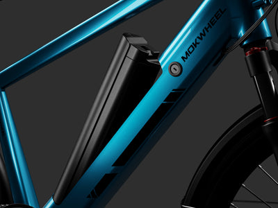 Removable Battery
