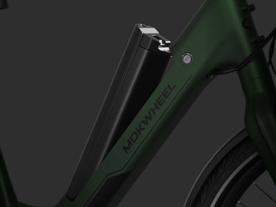 Removable Battery