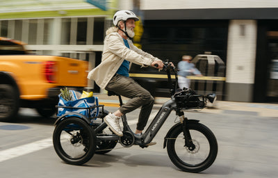 Mokwheel Granite - electric bike for adults