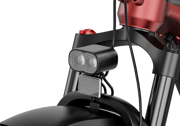 Dual-Bulb Brilliance