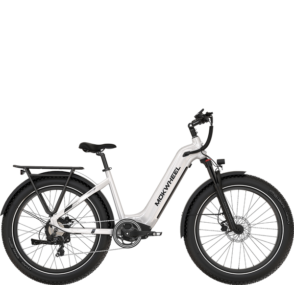 Mokwheel Basalt ST - fat tire electric bike for adults