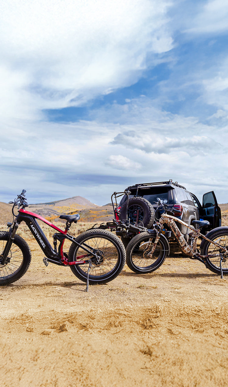 Full Suspension Fat Tire Electric Bike | Mokwheel