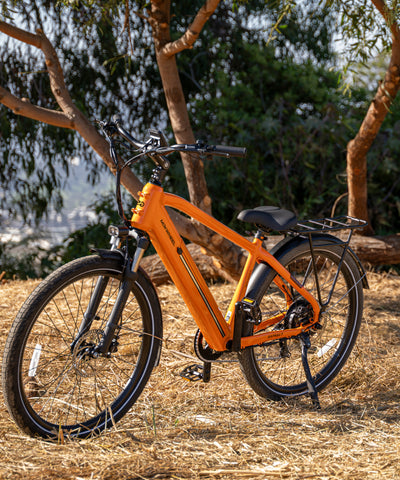 Mokwheel Asphalt - city commuter electric bike