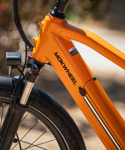 Mokwheel Asphalt - electric bike for city commute