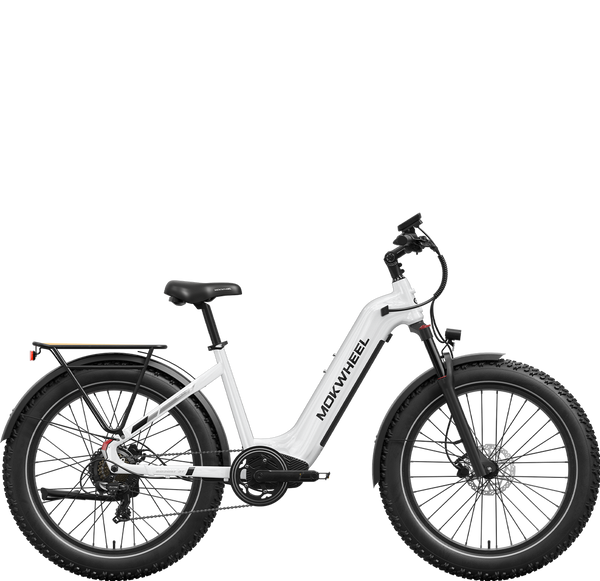 Basalt ST 2.0 | Best All Terrain Electric Bike | Mokwheel