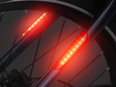 Integrated Brake Light