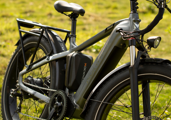 charging e bike battery with inverter