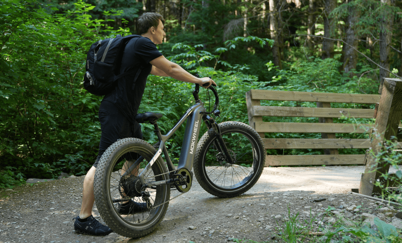 Mokwheel Basalt - all terrain electric bike