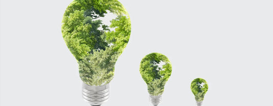 Follow the Green Light Trails: e-bikes and the environment