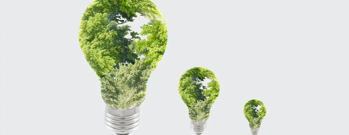 Follow the Green Light Trails: e-bikes and the environment