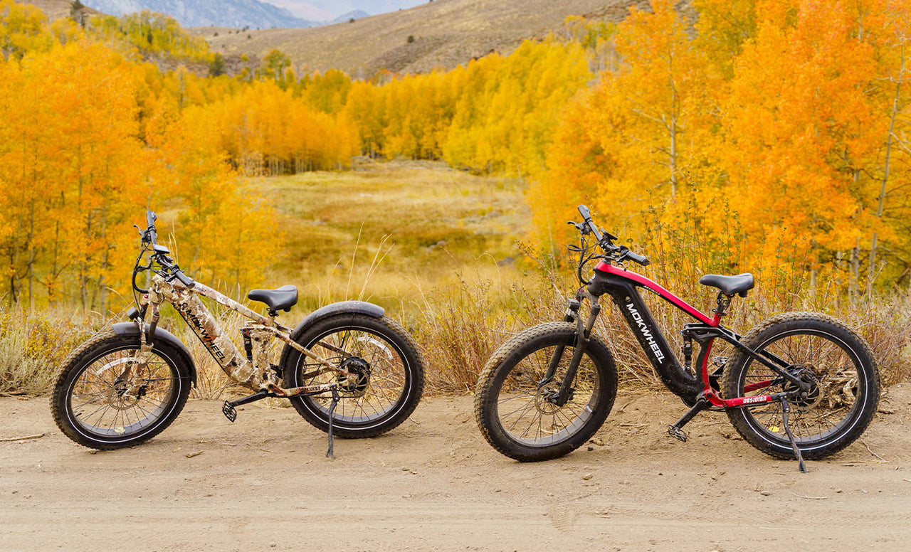 Mokwhee full suspension electric mountain bike for sale