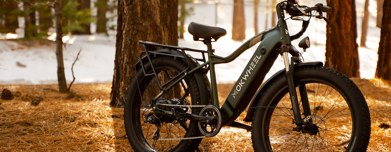 Perfect E-bike for Fishing