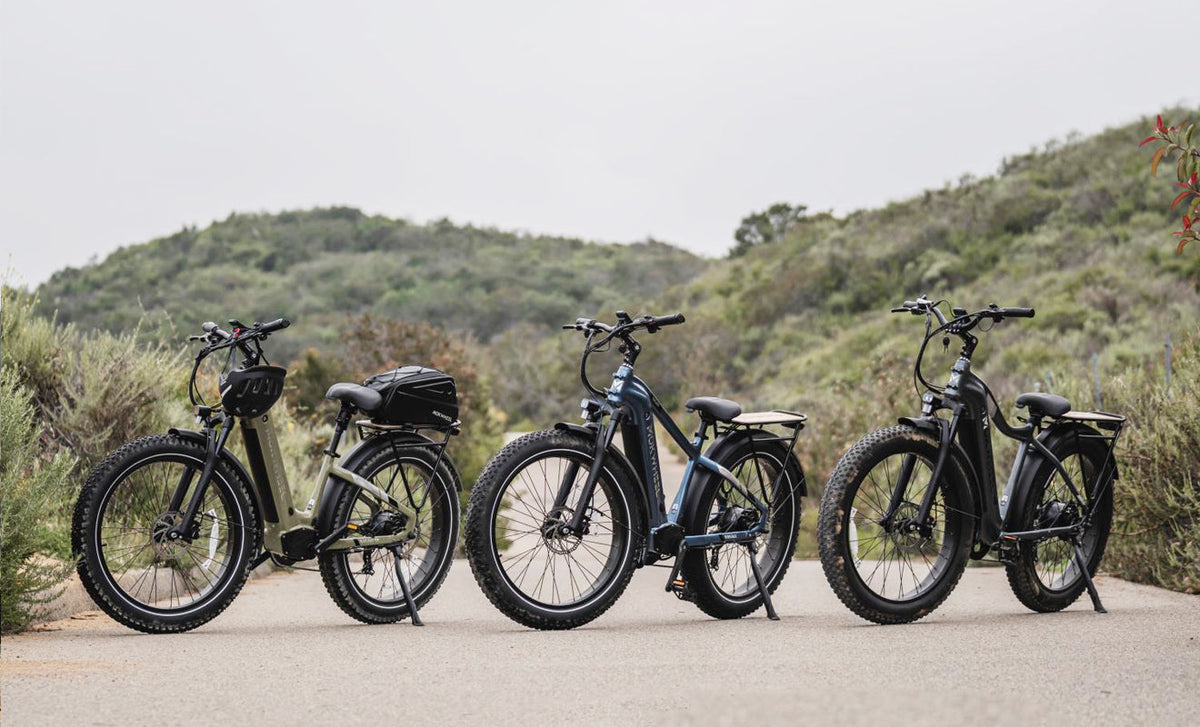 Mokwheel Electric Bikes Stand Out in a Sea of E-Bikes