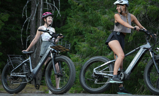 Mokwheel Mesa Plus ST - electric mountain bike for adults