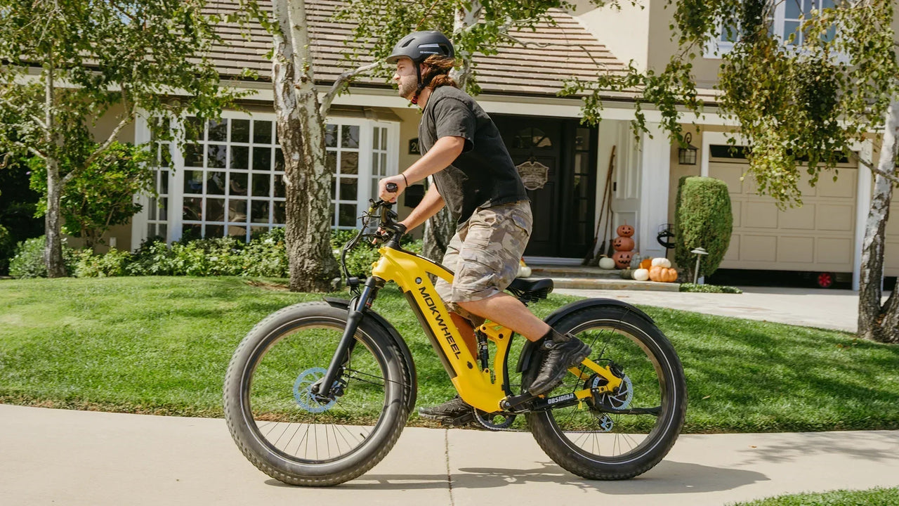 Softail eBike
