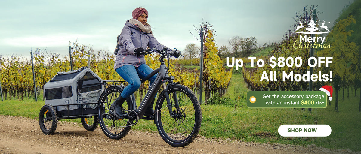 Electric Bikes for Christmas Gifts: A Mokwheel Guide