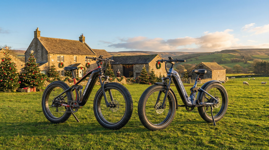 What Is a Pedal Assist Electric Bike? A Complete Beginner’s Guide