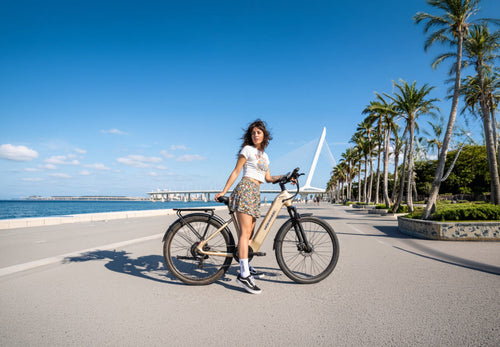 Step-Through Electric Bikes