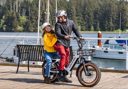 Electric Cargo & Utility Bikes