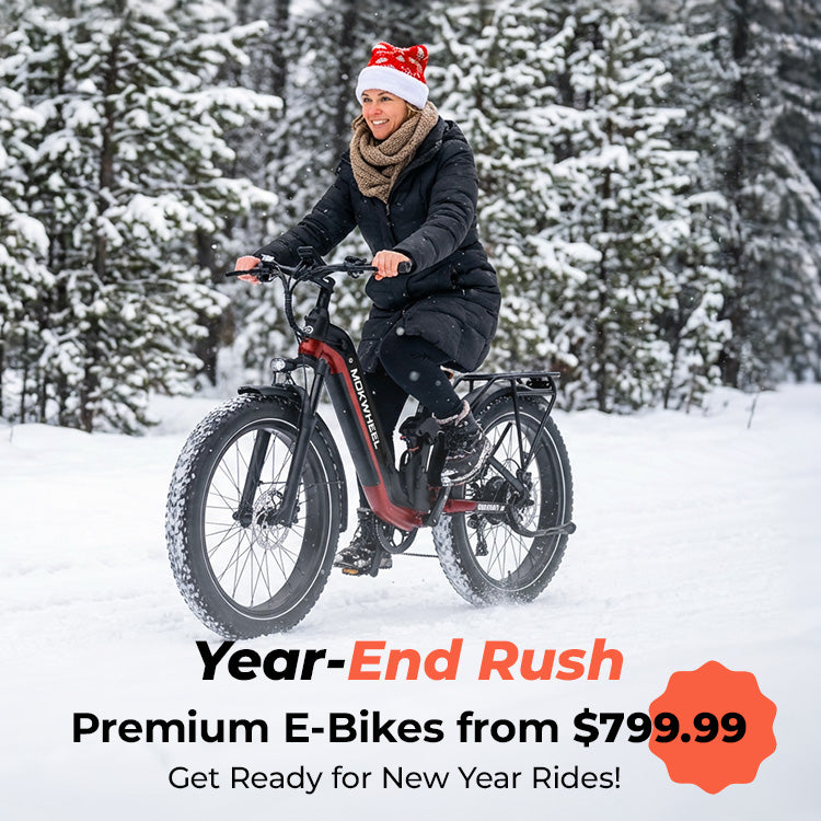 E-Bikes for Sale
