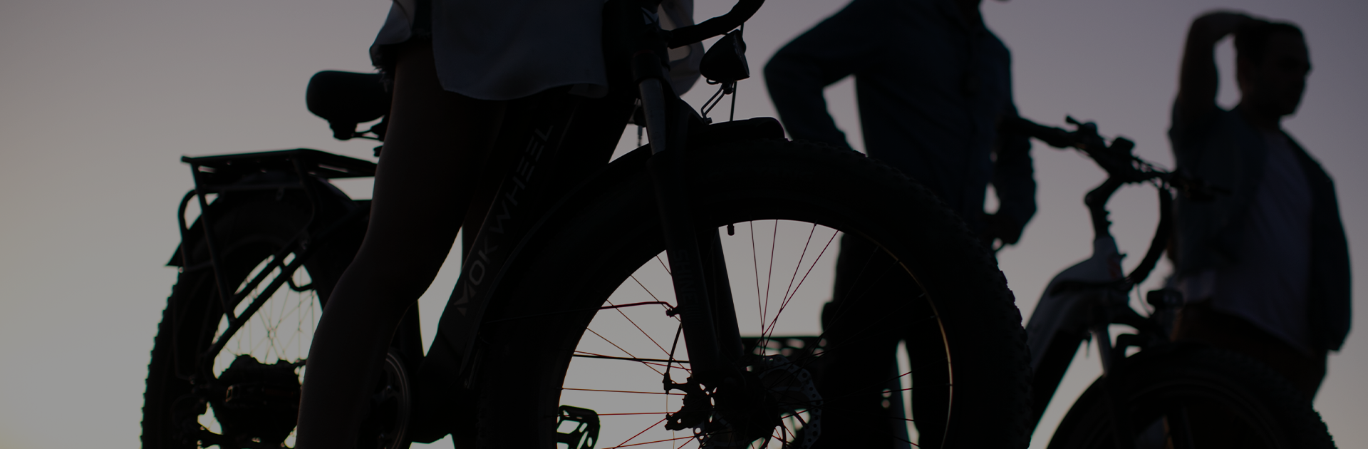 Mokwheel - most reliable ebike brands
