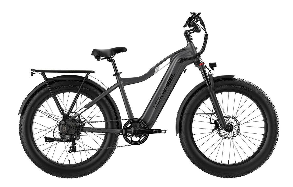 Fat bike, buy online