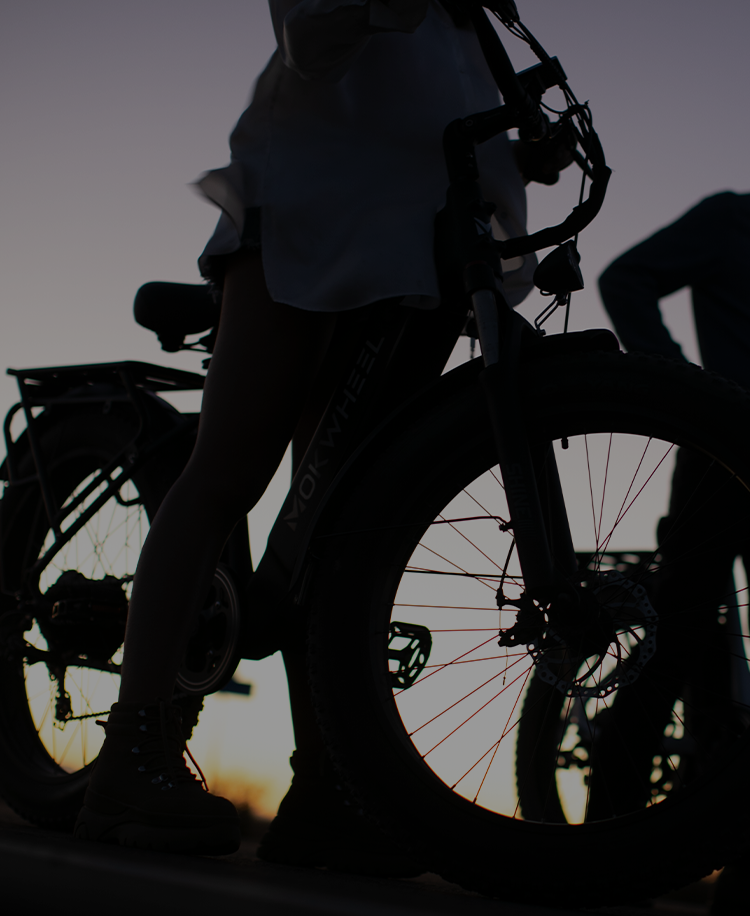 Mokwheel - most reliable ebike brands
