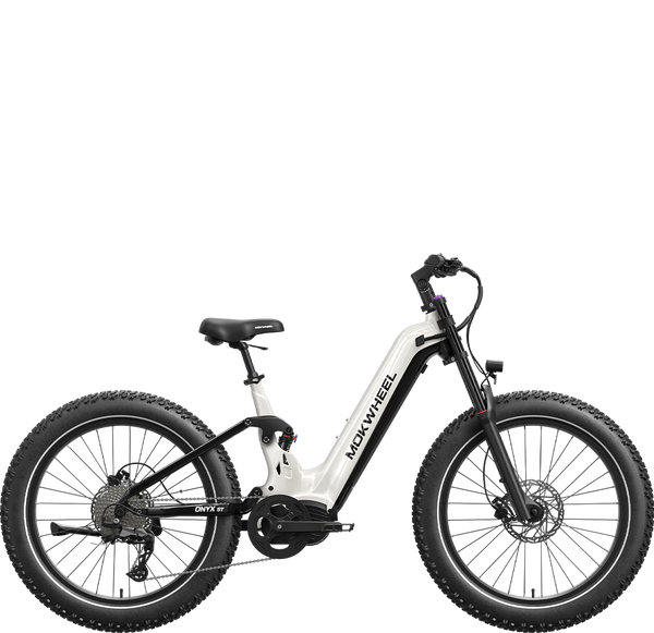 Mokwheel Onyx Ebike